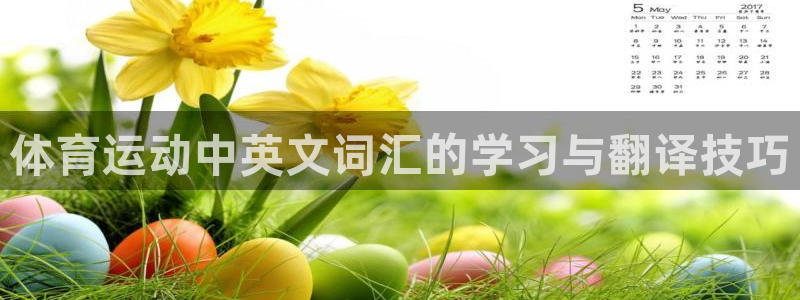 急速体育cba：体育运动中英文词汇的学习与翻译技巧