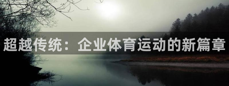 急速体育nba直播在线观看：超越传统：企业体育运动的新篇章