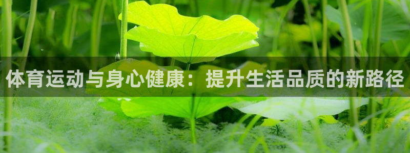 急速体育：体育运动与身心健康：提升生活品质的新路径