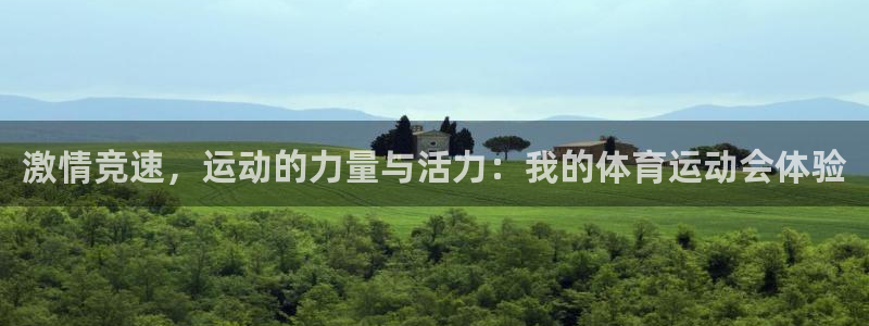 急速体育nba直播在线观看：激情竞速，运动的力量与活力：我的体育运动会体验