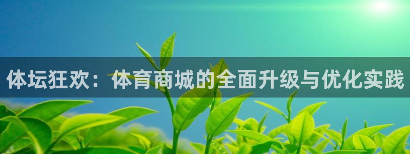急速体育：体坛狂欢：体育商城的全面升级与优化实践
