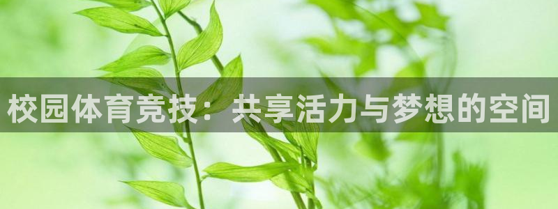 急速体育直播nba：校园体育竞技：共享活力与梦想的空间