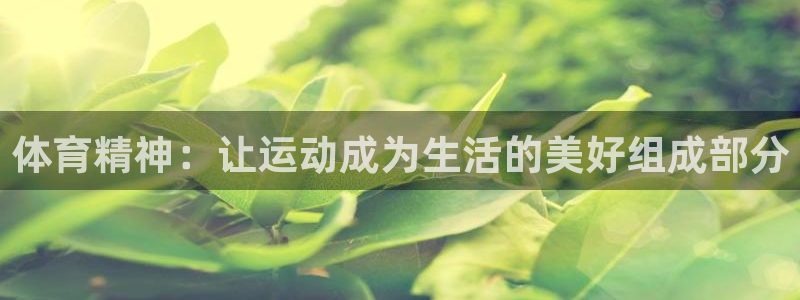 急速体育nba：体育精神：让运动成为生活的美好组成部分