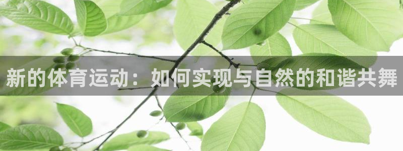 急速体育：新的体育运动：如何实现与自然的和谐共舞