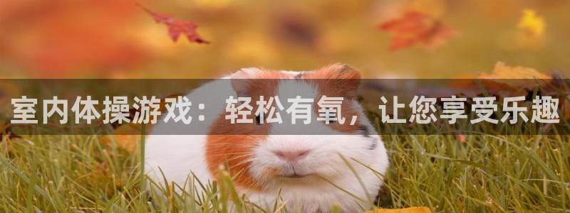 急速体育cba：室内体操游戏：轻松有氧，让您享受乐趣