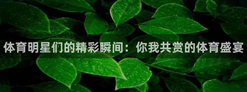 急速体育cba：体育明星们的精彩瞬间：你我共赏的体育盛宴