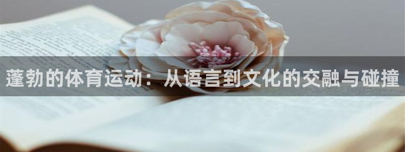 急速体育首页：蓬勃的体育运动：从语言到文化的交融与碰撞